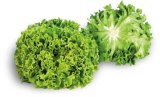 Salata kristal 1 kom