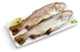 SVJEŽA KALIFORNIJSKA PASTRVA 300-600 grama/komad