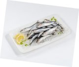 SVJEŽA SRDELA ILI SRDELA GOLEMA 1 kg