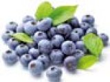 BOROVNICA 500 g