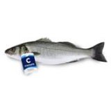 Brancin 1 kg