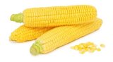 KUKURUZ ŠEĆERAC 3X1 500 g