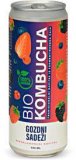 BIO KOMBUCHA ŠUMSKO VOĆE/ÐUMBIR I LIMUNSKA TRAVA 330 ml