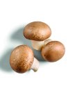 Domaći šampinjoni smeđi 250 g