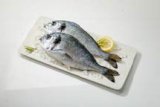SVJEŽA ORADA 400-600 g/kom 1 kg