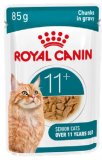 ROYAL CANIN AGEING 11+ 85 g