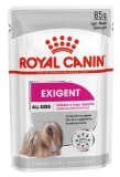 ROYAL CANIN EXIGENT 85 g