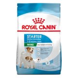 ROYAL CANIN MINI STARTER 1 kg