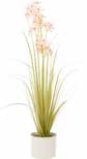 Allium u tegli