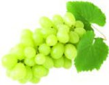 GROŽĐE BIJELO 500 g