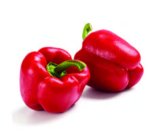 Paprika crvena