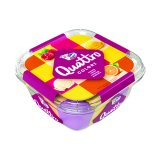Sladoled Colori-Fruti, Colori-Choco Quattro, 1500 ml