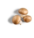 Domaći šampinjoni smeđi 250 g