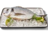 Svježa očišćena jadranska orada 720 g