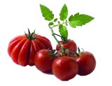 Rajčica Grapolo 1 kg