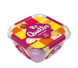 Ledo SLADOLED QUATTRO razni okusi 1500 ml