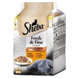 SHEBA odabrani okusi, multipack 6x50 g