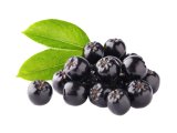 DOMAĆA BIO ARONIJA 250 g