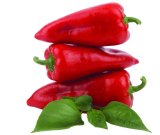 Paprika Rog crvena 1 kg