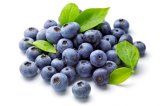 BIO BOROVNICA 125 g