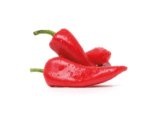 Domaća paprika Roga crvena, zemlja podrijetla Hrvatska 1 kg