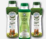 ZELENE DOLINE Probiotički jogurt 1 kg