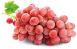 GROŽĐE ROSE