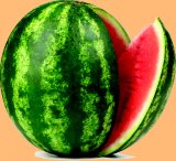 Lubenica Rinfuza 1 kg