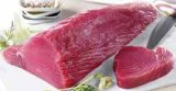 TUNA FILE ODMRZNUTI 1 kg