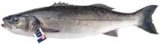 BRANCIN METRO CHEF 1 kg