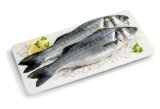 SVJEŽI BRANCIN Cromaris 600 - 800 grama/komad 1 kg