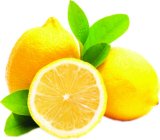 Limun Rinfuza 1 kg