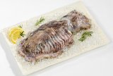 SVJEŽA SIPA 1 kg