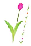 Umjetni tulipan 40 cm,1 kom
