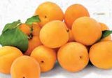 Marelica Zemlja podrijetla Moldavija 1 kg