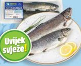 LUMA RIBARSTVO Pastrva svježa očišćena 560 g