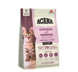 Acana CAT First Feast