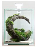 AQUAEL Akvarijski set Shrimp Smart Day&Night, bijeli