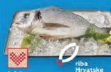 Svježa očišćena jadranska orada