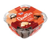 SLADOLED QUATTRO Ledo odabrane vrste 1650 ml