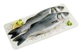 SVJEŽI BRANCIN 400 - 600 grama / komad 1 kg