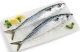 SVJEŽA SKUŠA 1 kg