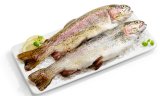 SVJEŽA KALIFORNIJSKA PASTRVA 300 - 600 grama / komad
