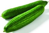 Bio krastavac