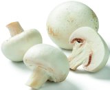 Domaći šampinjoni bijeli 500 g