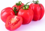 Domaća rajčica Papeletto 400 g