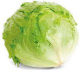 SALATA ICEBERG