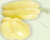 Paprika babura