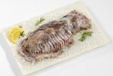 SVJEŽA SIPA 1 kg