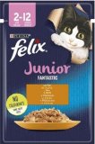 FELIX FANTASTIC JUNIOR